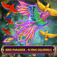 Bird Paradise